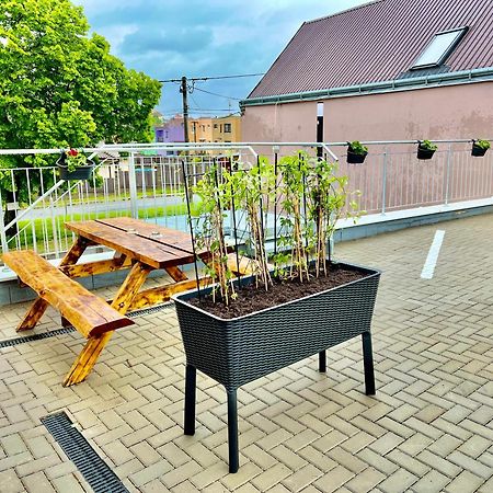 Penzion Bazen Vino Sklep U Palecku Zajeci Exterior photo